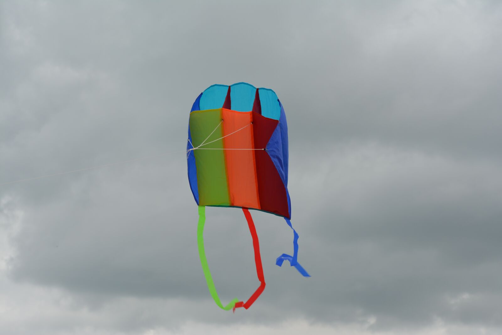 Nikon D5200 sample photo. Kite, air, snakes photography