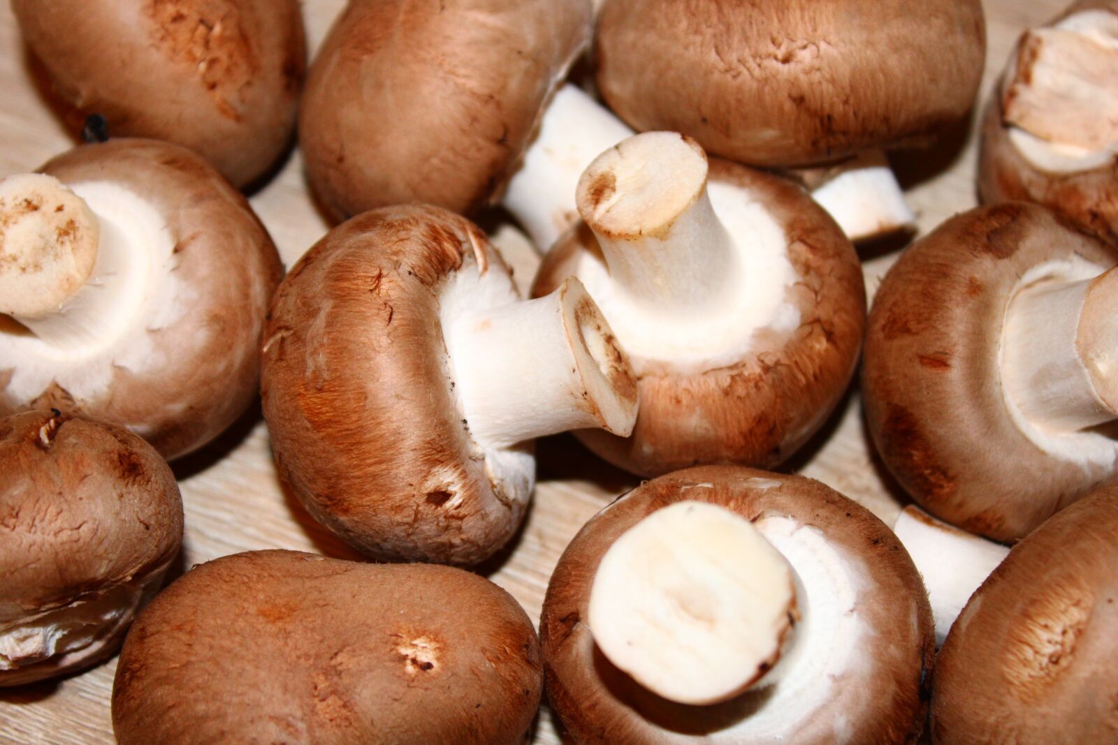 Canon EOS 2000D (EOS Rebel T7 / EOS Kiss X90 / EOS 1500D) sample photo. Mushrooms, food, healthy photography
