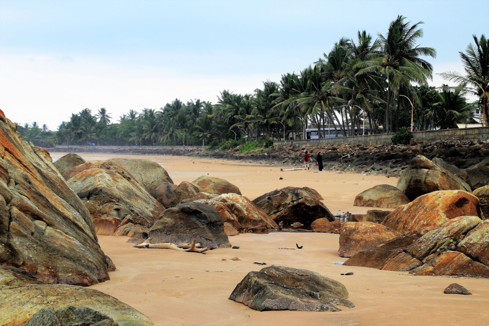 Canon EOS 80D sample photo. Ocean, beach, sri lanka photography