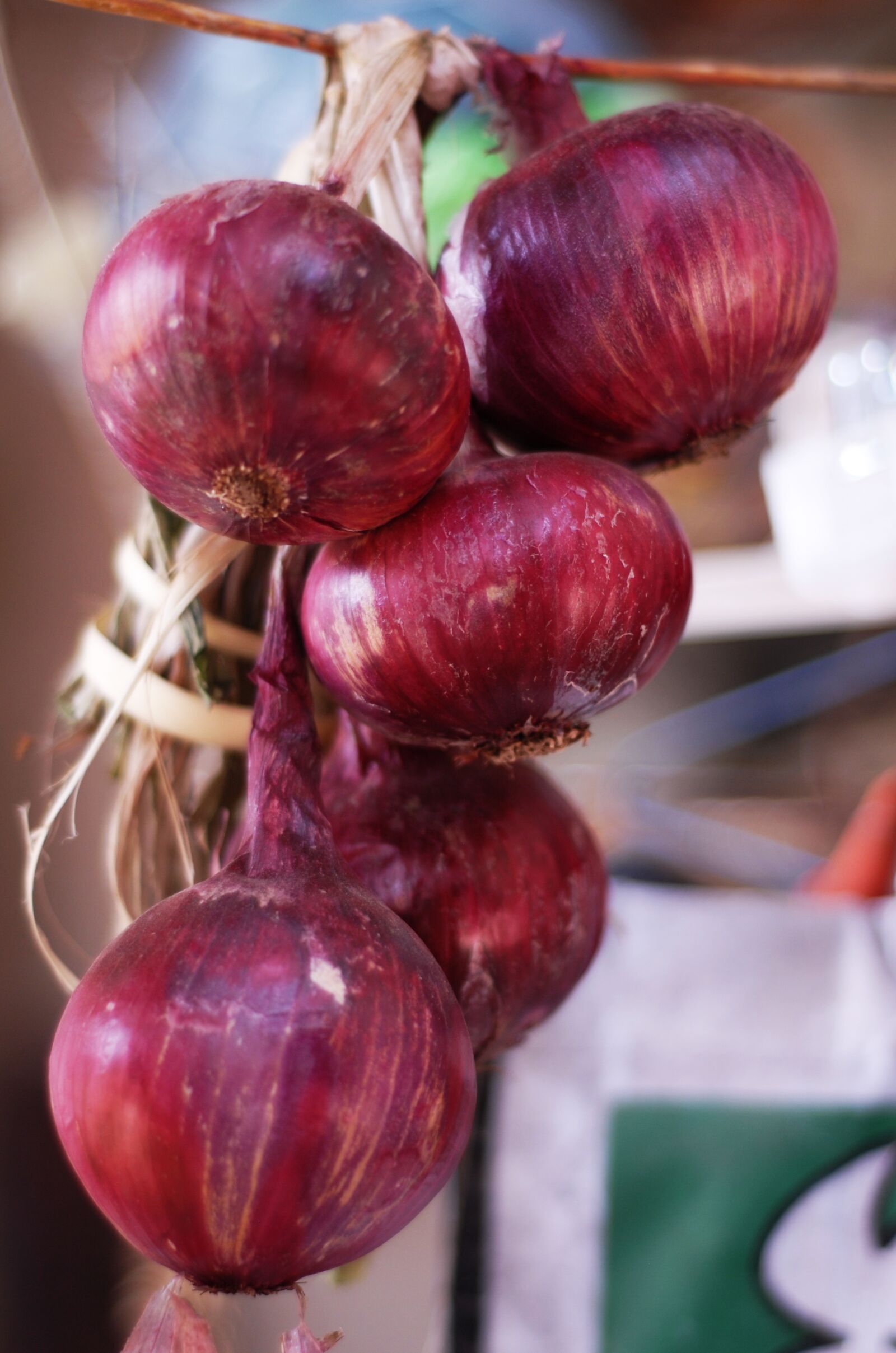 Nikon D200 sample photo. Purple onion, copanatoyac, nature photography
