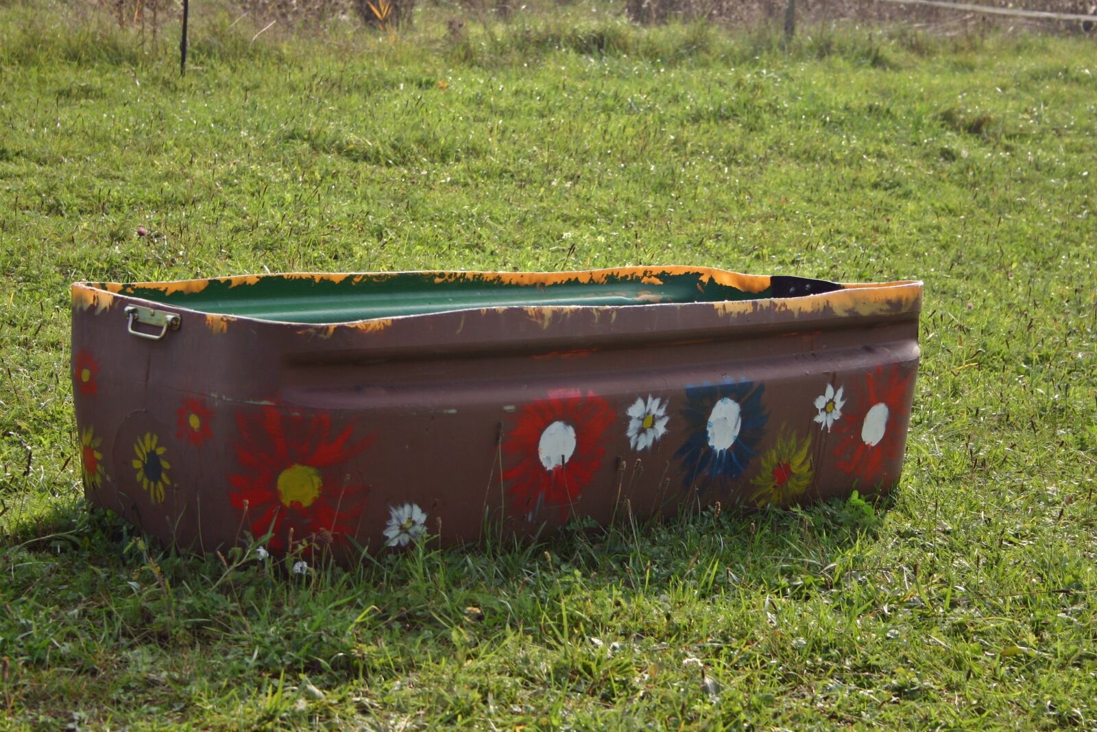 Canon EOS 300D (EOS Digital Rebel / EOS Kiss Digital) sample photo. Potions, horse trough, water photography