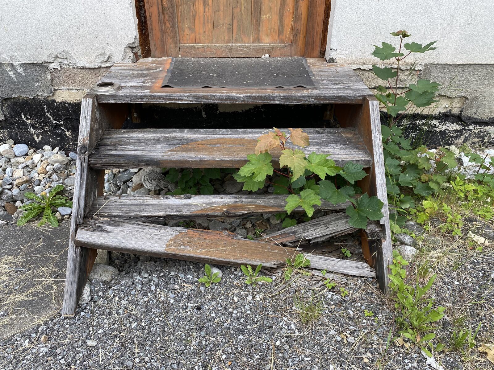 Apple iPhone 11 Pro sample photo. Stairs, wood, old photography