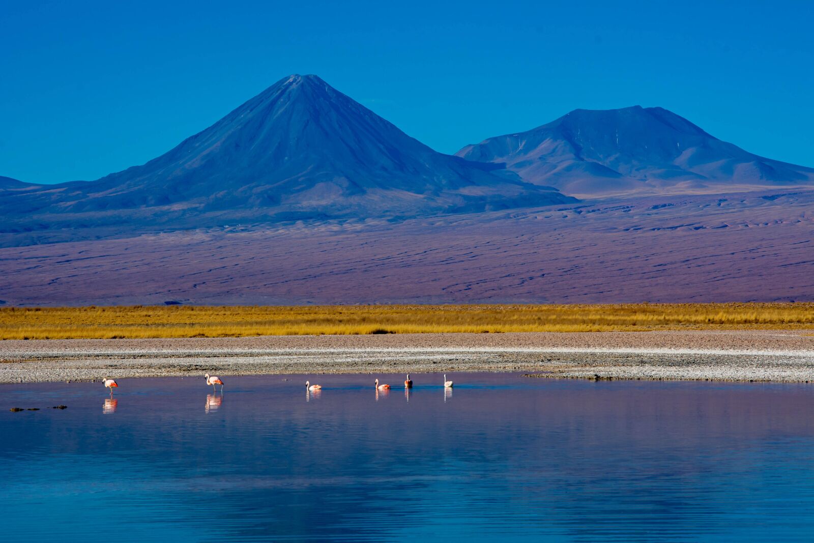 Nikon D7100 sample photo. Socaire, desert, chile photography