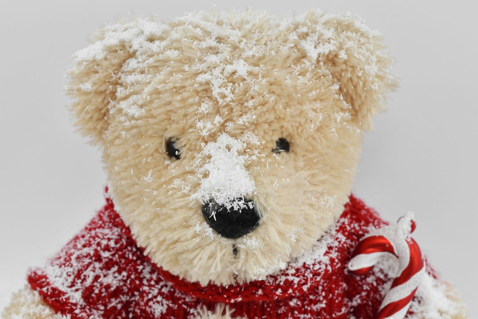 Nikon D5500 sample photo. Head, snow, snowflakes, sweater photography