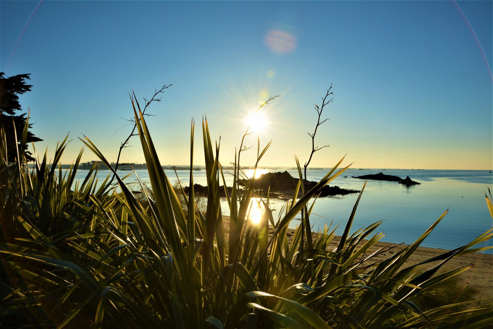 Nikon D7100 sample photo. France, isle of batz photography