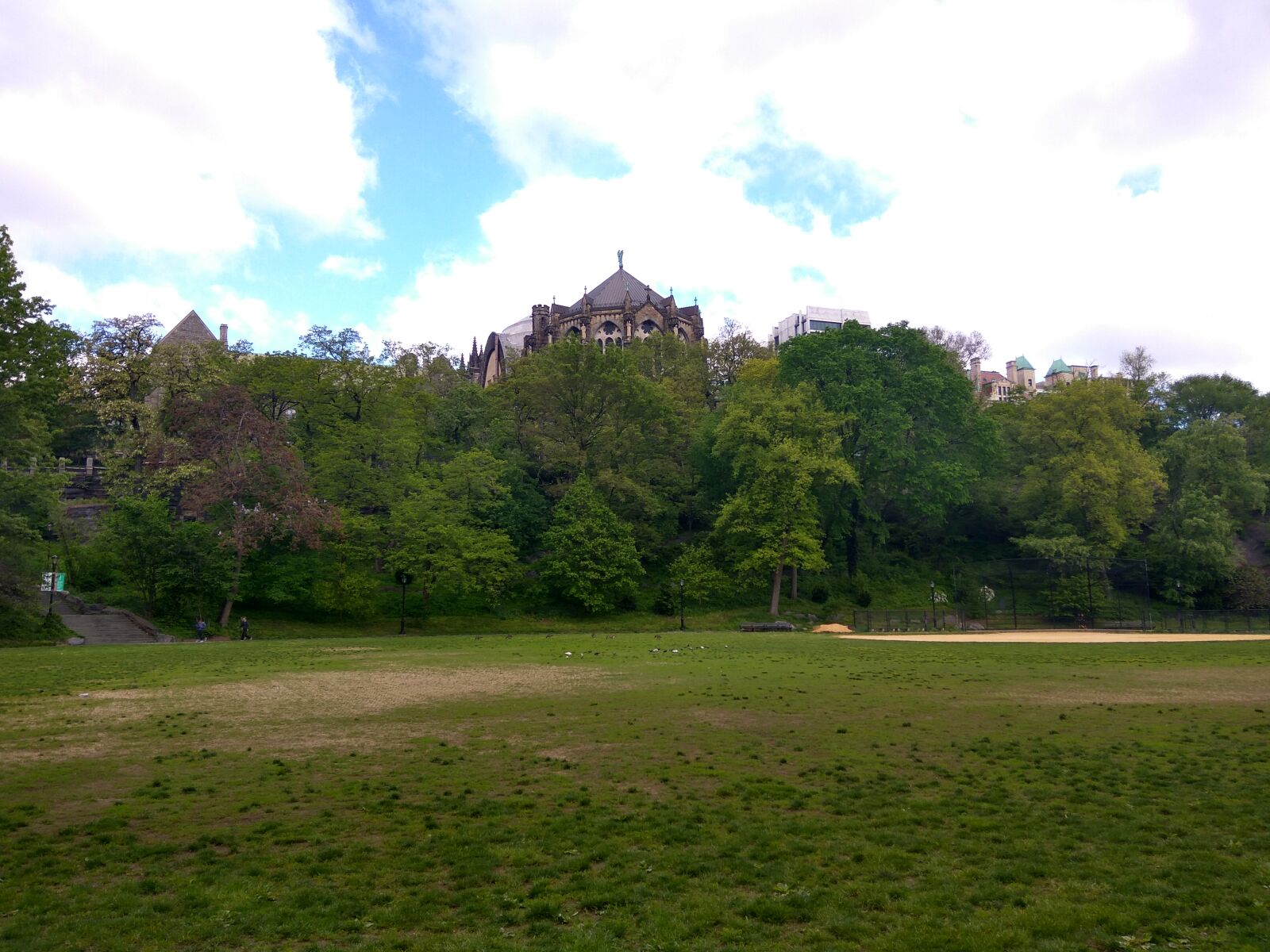 Xiaomi Redmi Note3 sample photo. Background, park photography