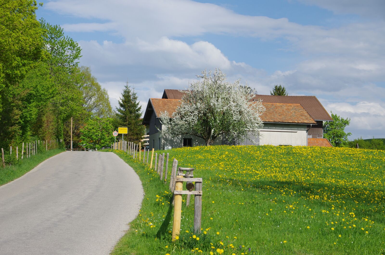 Pentax K-5 sample photo. Road, landscape, may photography