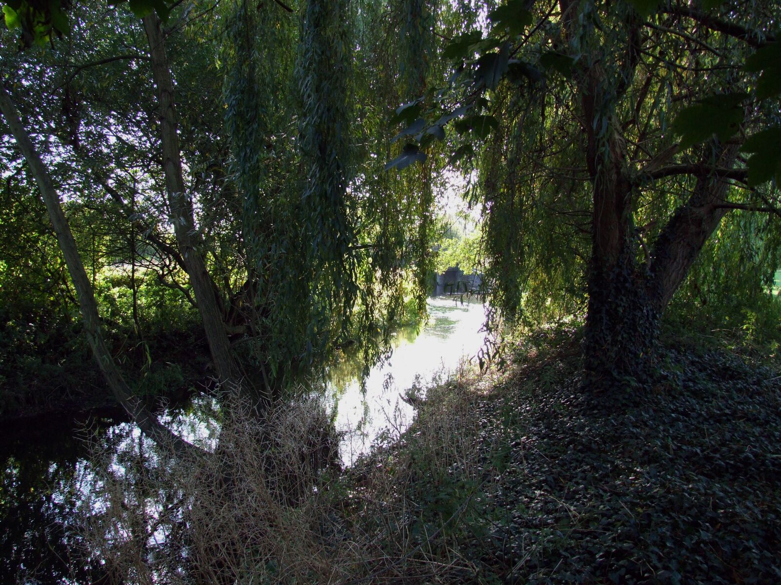 Fujifilm FinePix S9600 sample photo. Brook, river, landscape photography