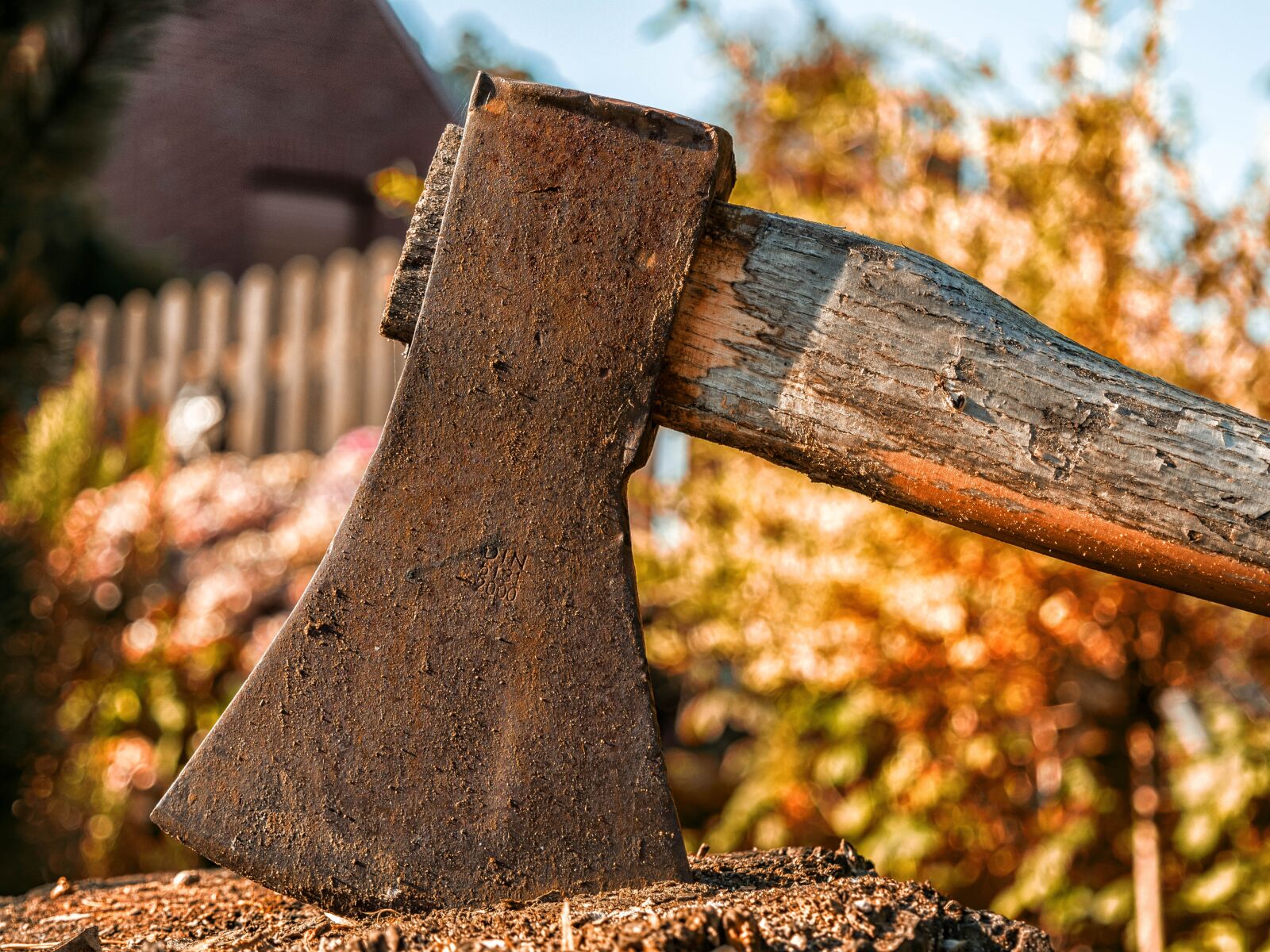 Nikon D3300 sample photo. Axe, ax, hack photography