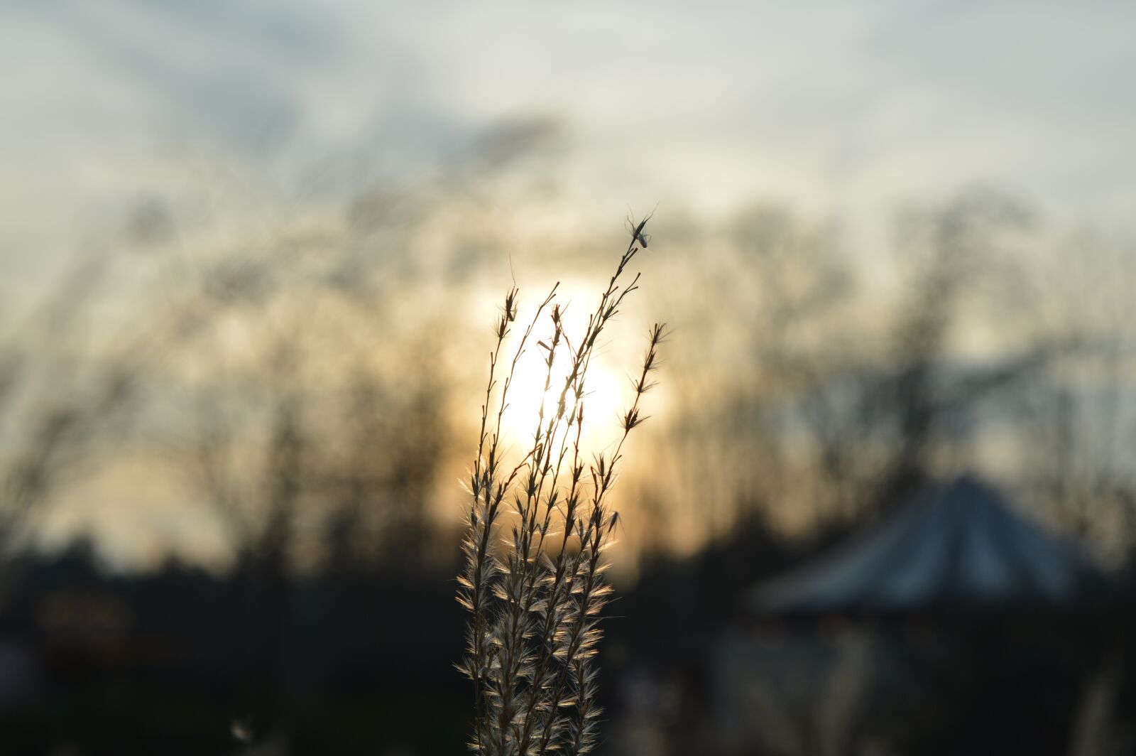 Nikon D3200 sample photo. Sun, sky, sunset photography