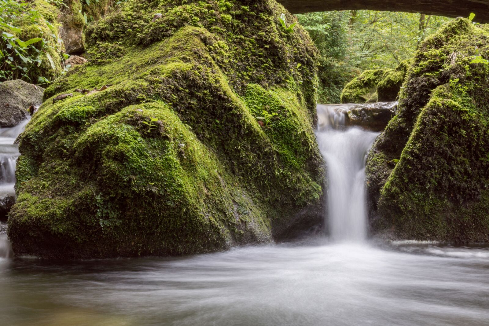 Sony a6500 + Sony Vario-Tessar T* E 16-70mm F4 ZA OSS sample photo. Bach, water, nature photography