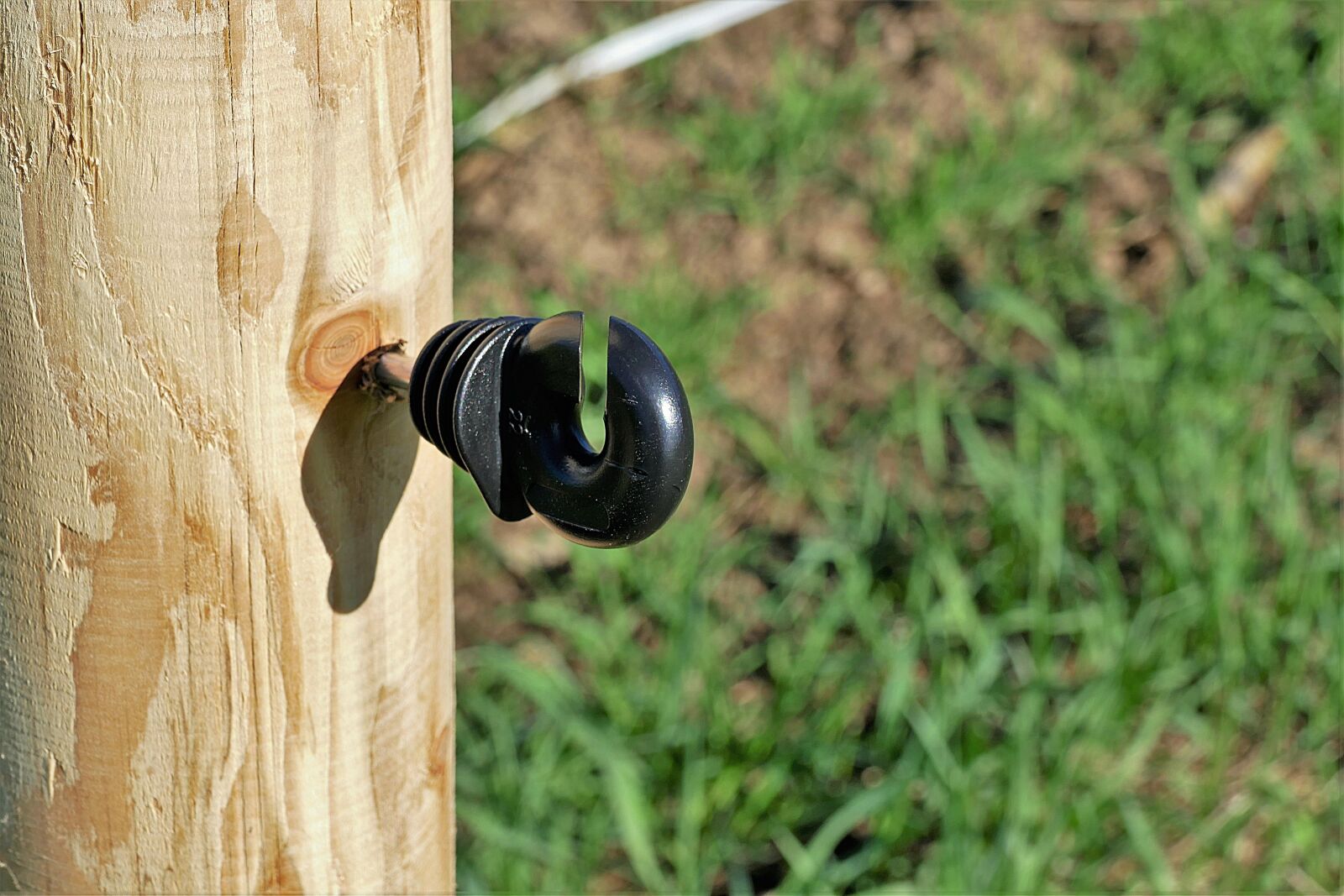 Panasonic Lumix DMC-FZ1000 sample photo. Insulator, plastic, pasture fence photography