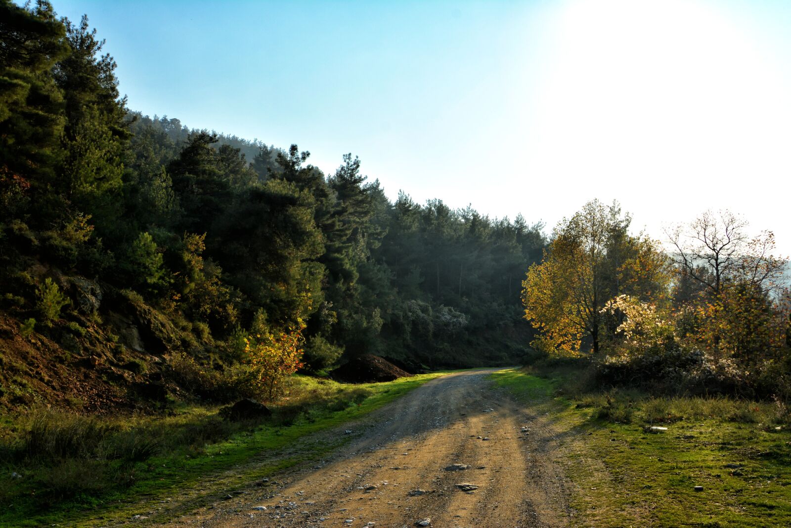 Nikon D7100 sample photo. Autumn, season, nature photography