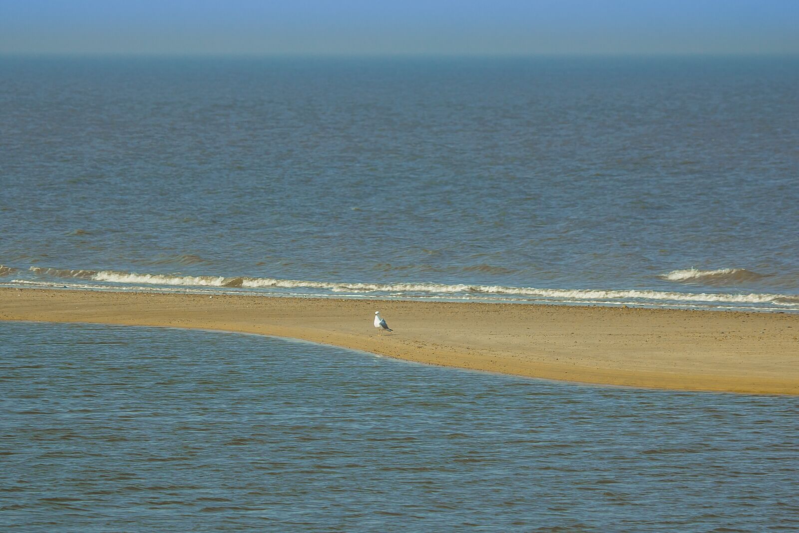 Canon EF 100-400mm F4.5-5.6L IS USM sample photo. North sea, england, lonely photography