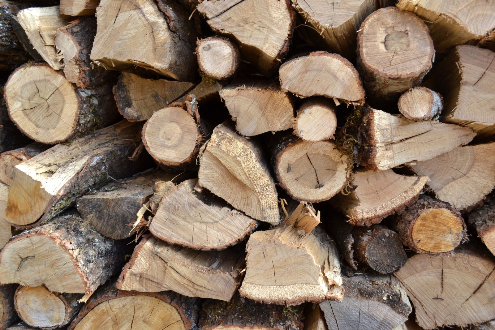Nikon D3100 sample photo. Firewood, logs, wood pile photography
