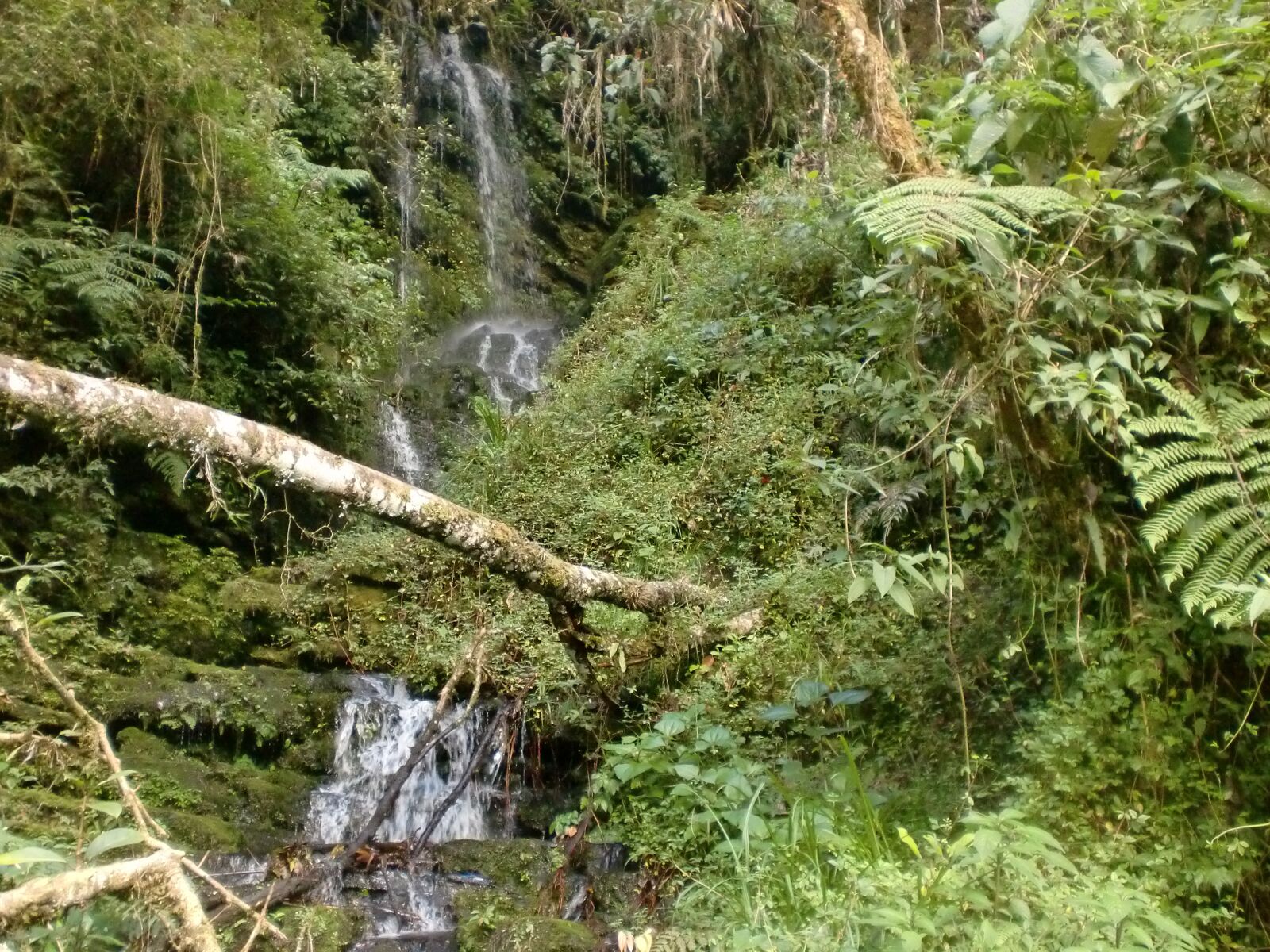 CASIO EX-Z90 sample photo. Waterfall, water, landscape photography