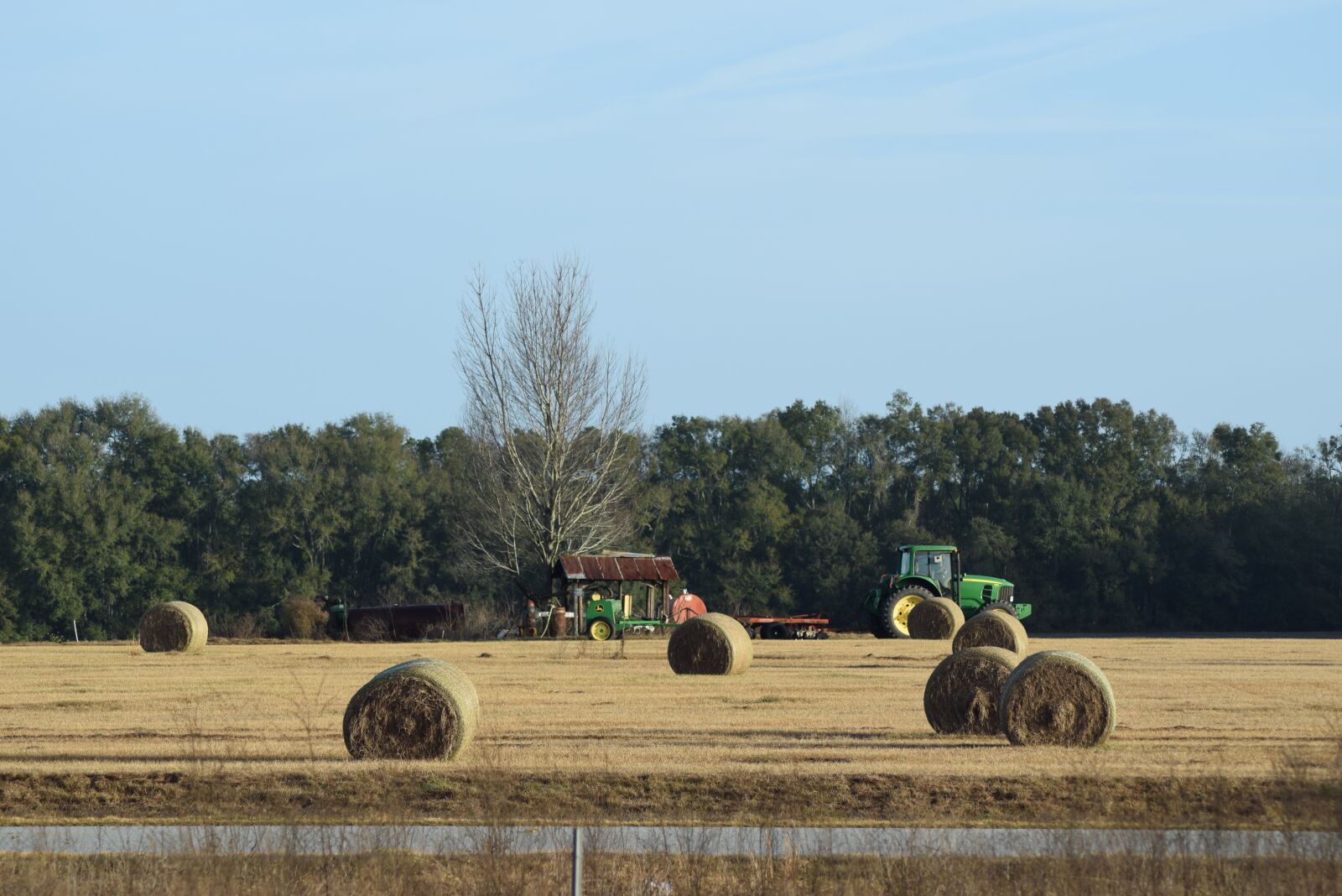 Nikon D5300 sample photo. Hay, nature, straw photography