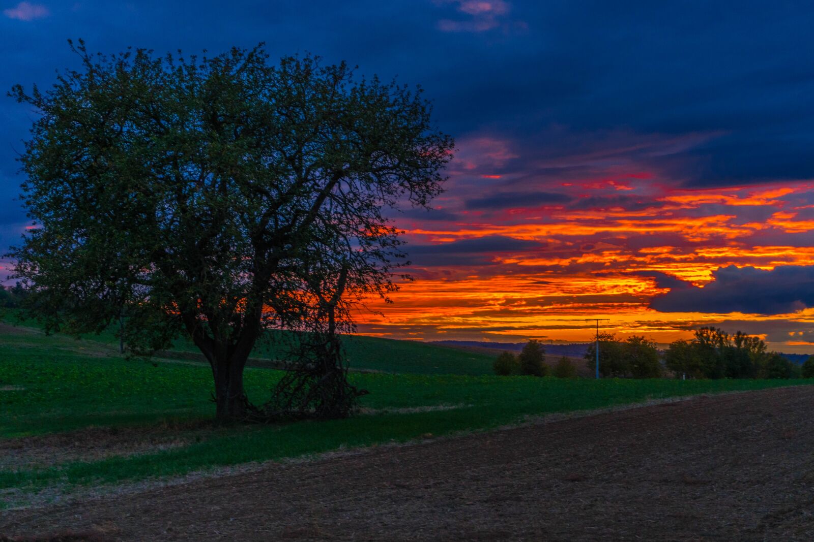 Sony E 16-50mm F3.5-5.6 PZ OSS sample photo. Sunset, tree, landscape photography