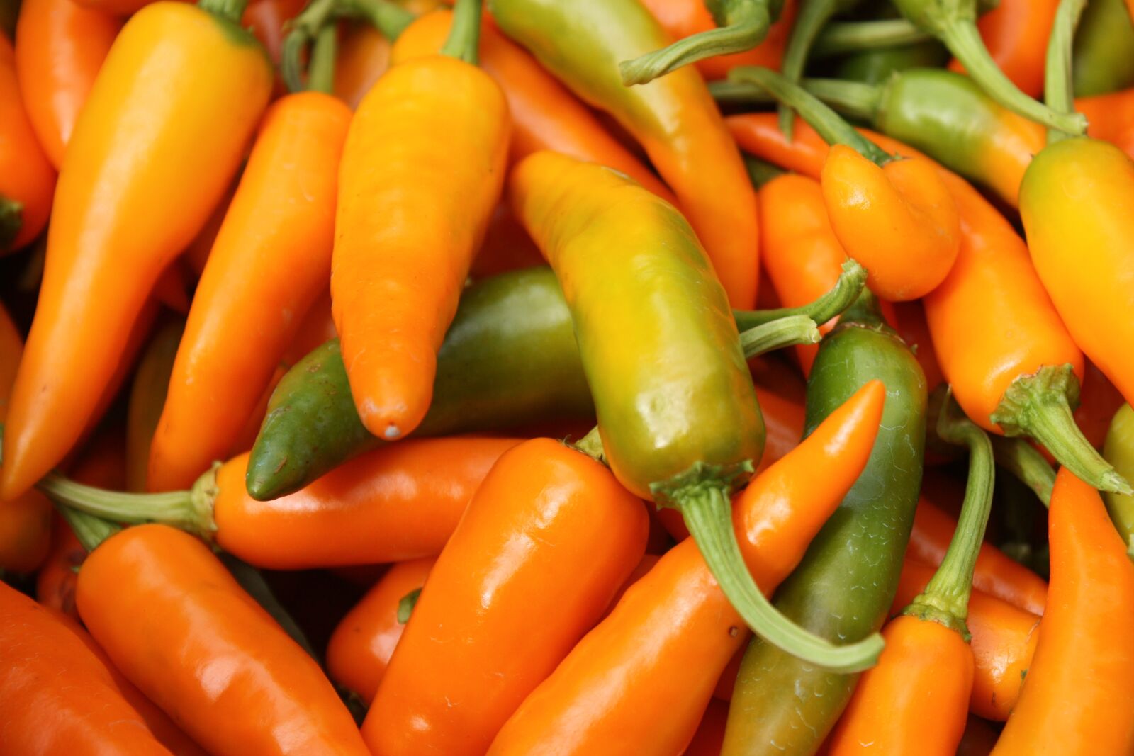 Canon EOS 450D (EOS Rebel XSi / EOS Kiss X2) sample photo. Chilli, yellow, savory photography