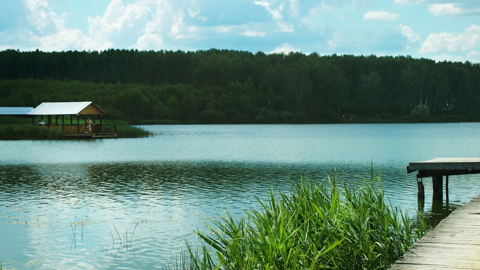 Olympus PEN E-PL3 sample photo. Chizhkovskoe lake, russian nature photography