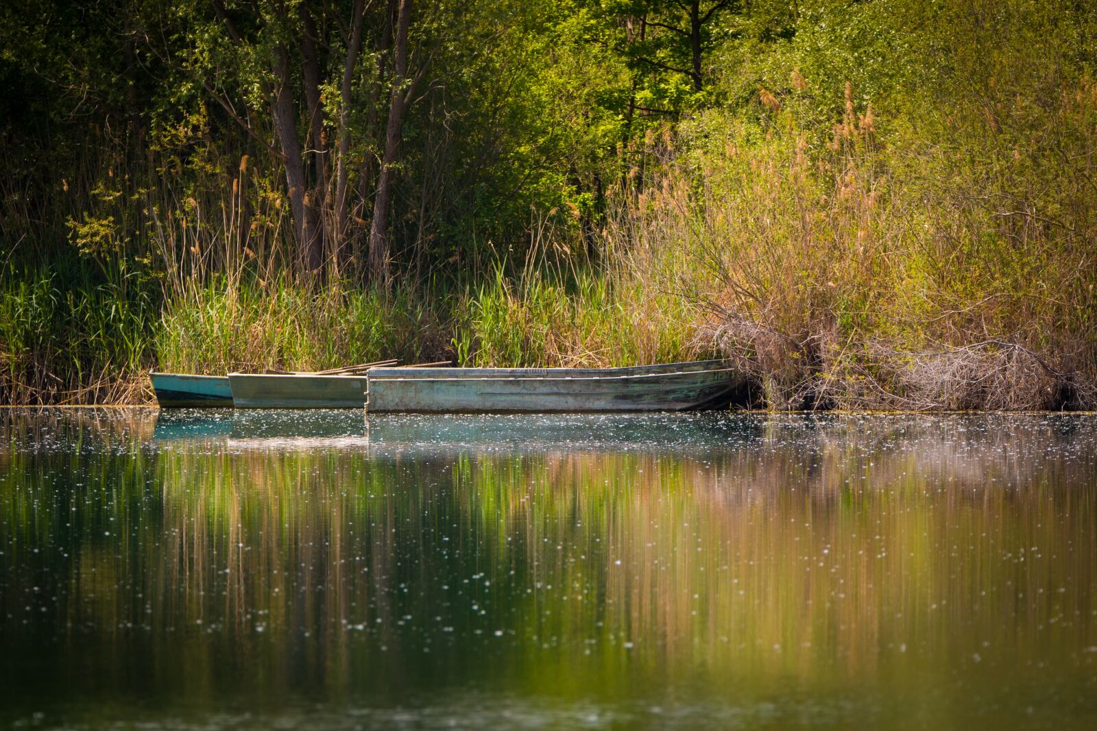 Canon EOS 70D + Tamron SP 150-600mm F5-6.3 Di VC USD sample photo. Boats, lake, nature photography