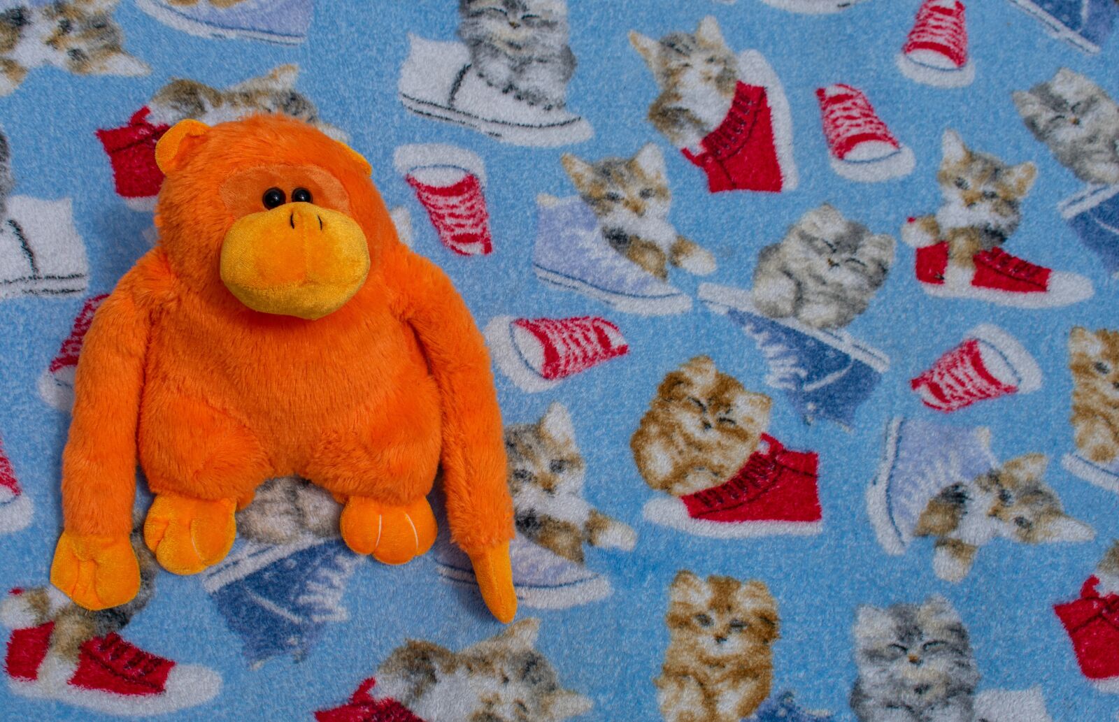 Nikon D3400 sample photo. Toy, children, kids photography