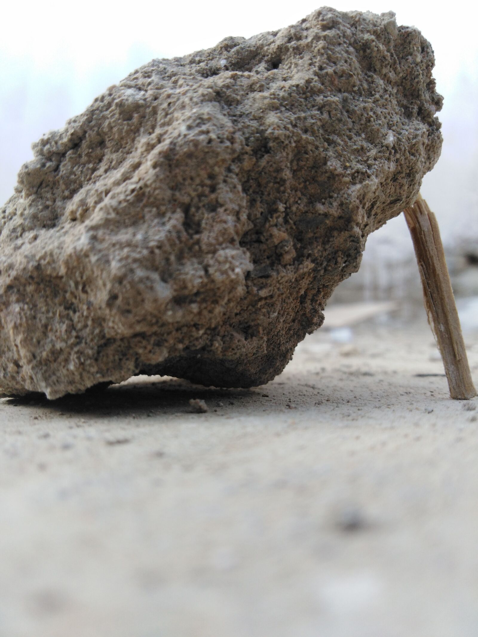 HUAWEI Y6 PRIME 2018 sample photo. Mobile, big, wood photography