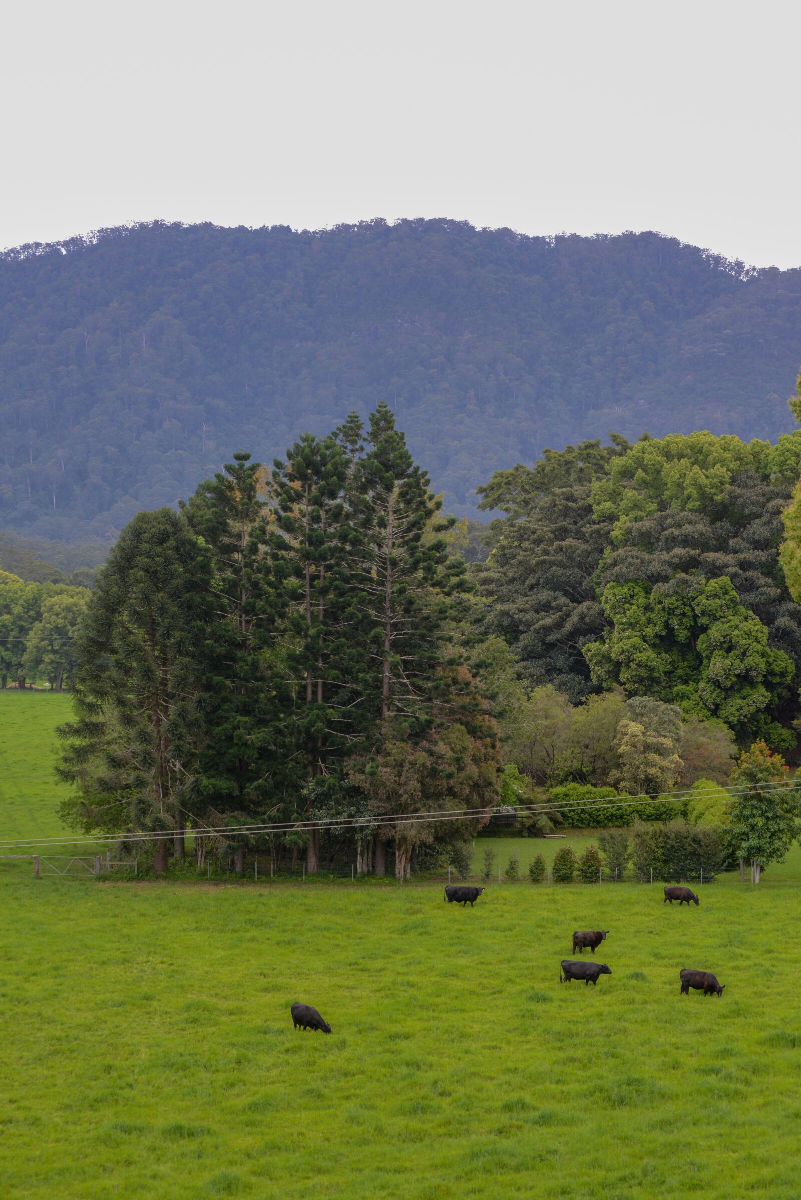 Nikon D600 sample photo. Farm, mountain, farmland photography
