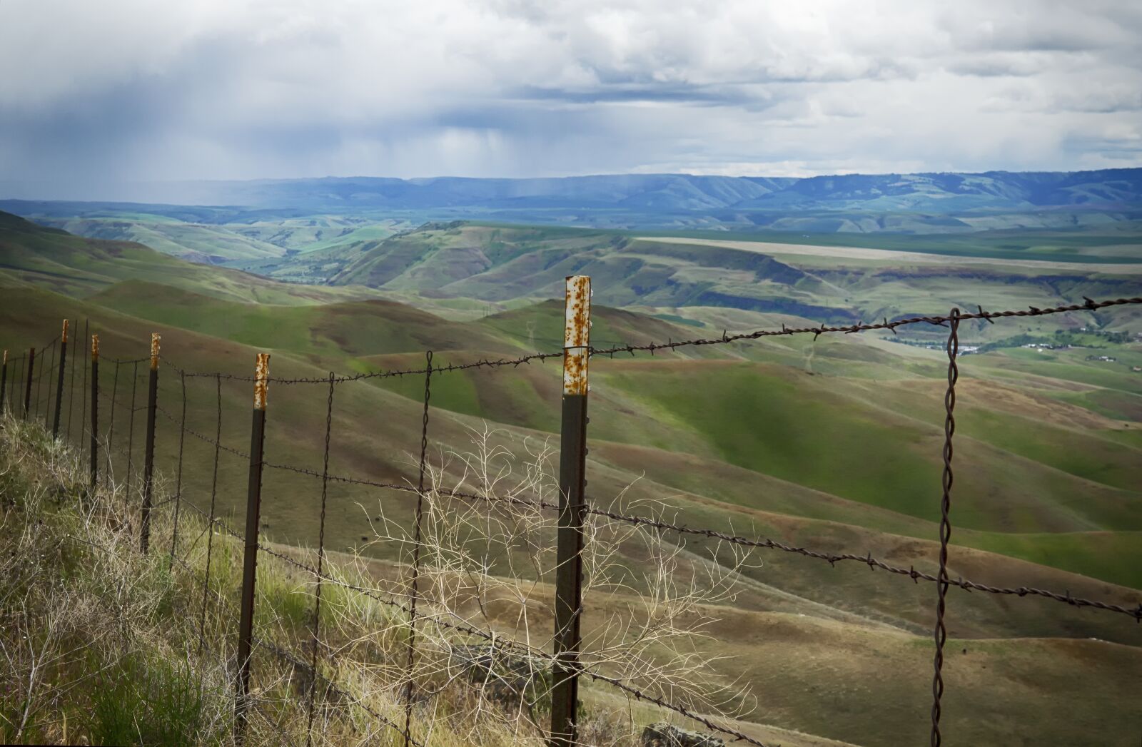 Nikon D5100 sample photo. Barbed wire, metal fence photography