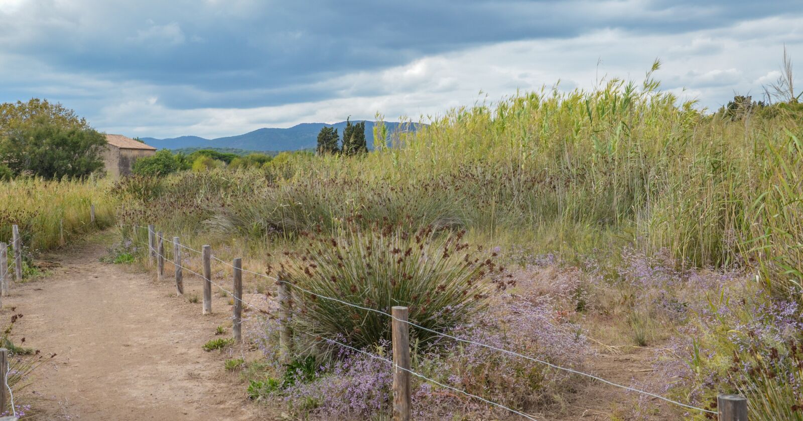 Nikon D5100 sample photo. France, nature, landscape photography