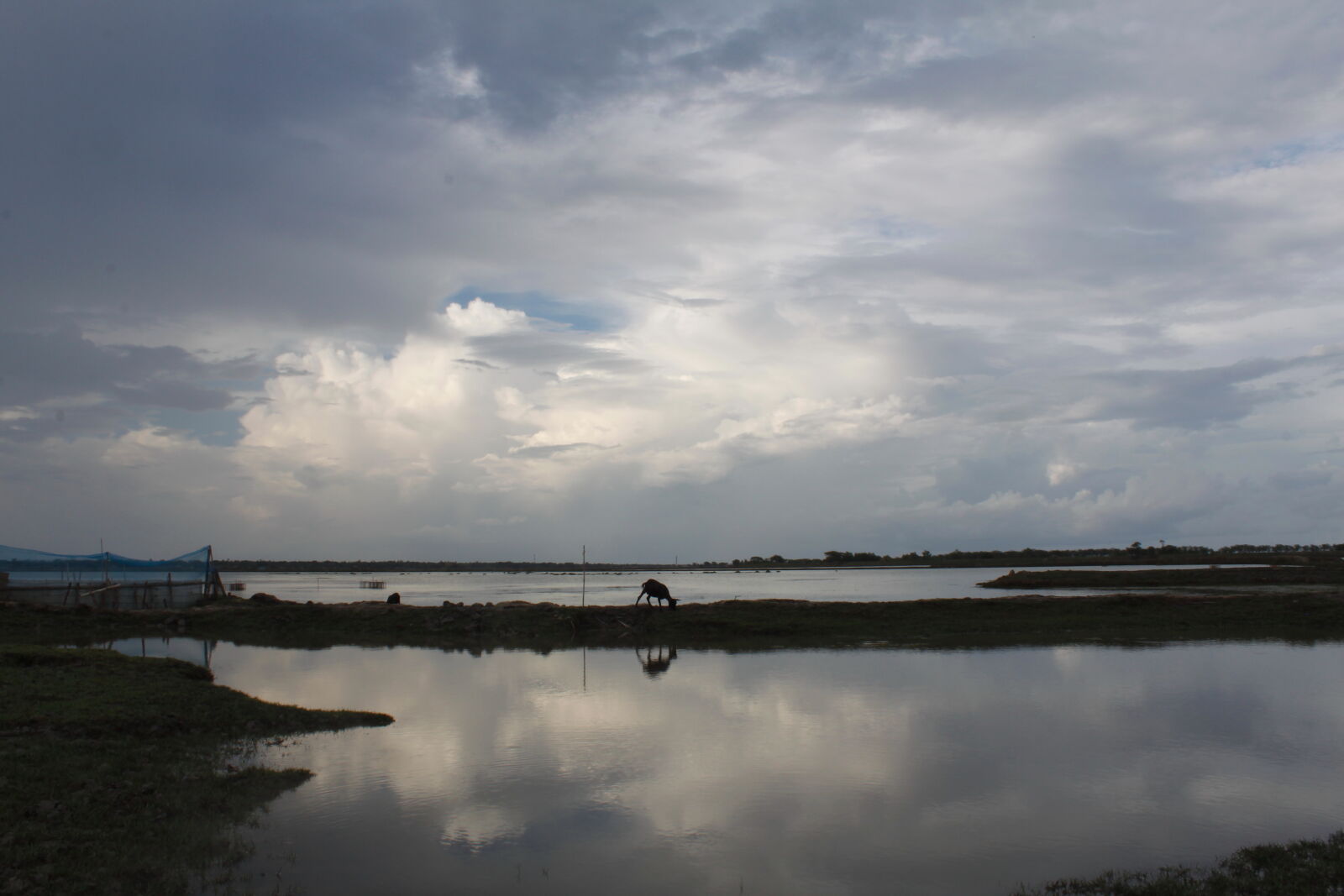 Canon EOS 500D (EOS Rebel T1i / EOS Kiss X3) sample photo. Bangladesh, canal, fisherman, nature photography