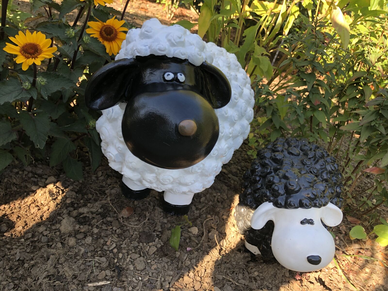 iPhone X back dual camera 4mm f/1.8 sample photo. Sheep, garden, summer photography