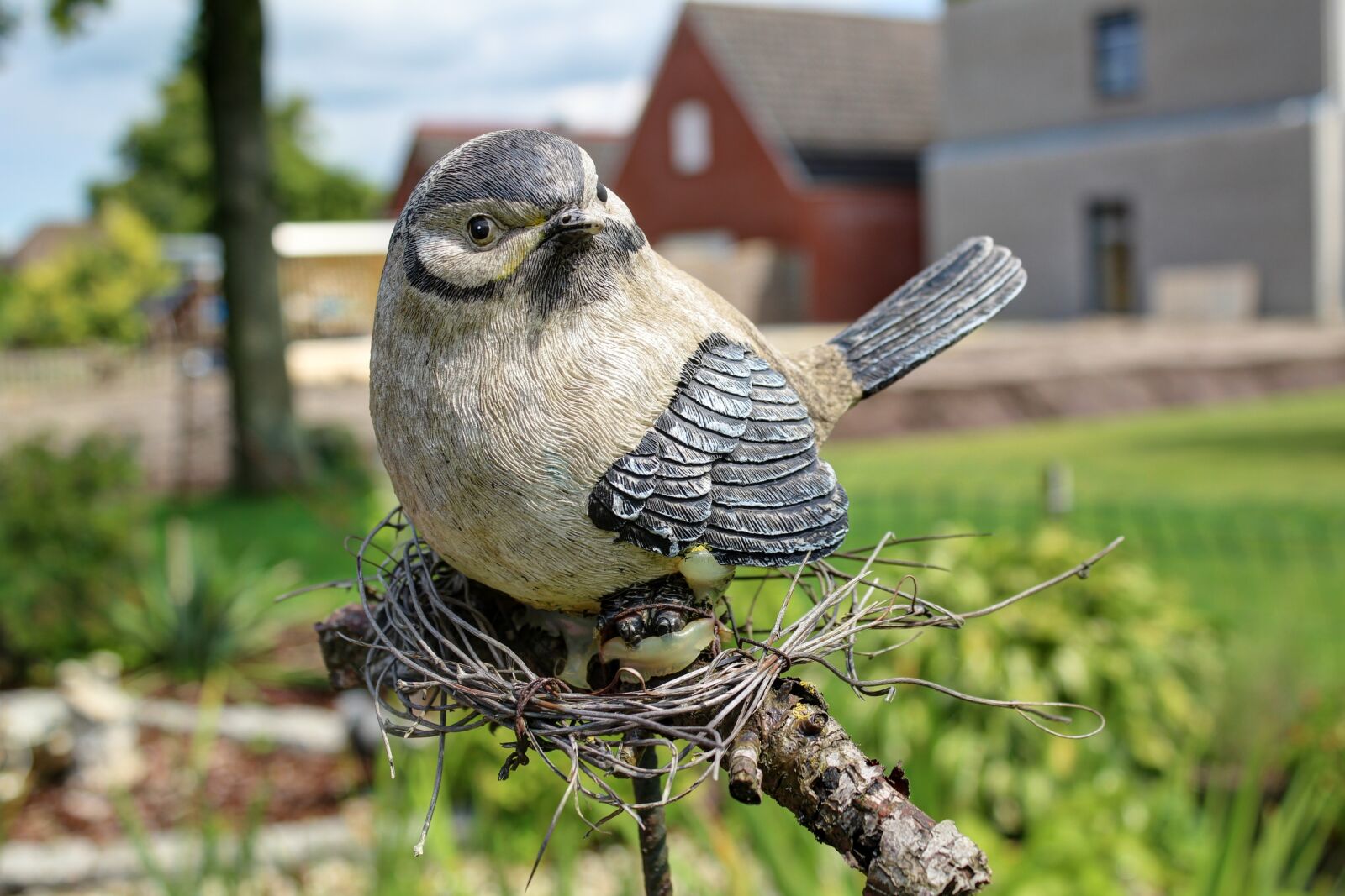 Canon EOS 600D (Rebel EOS T3i / EOS Kiss X5) sample photo. Bird, ceramic, figure photography