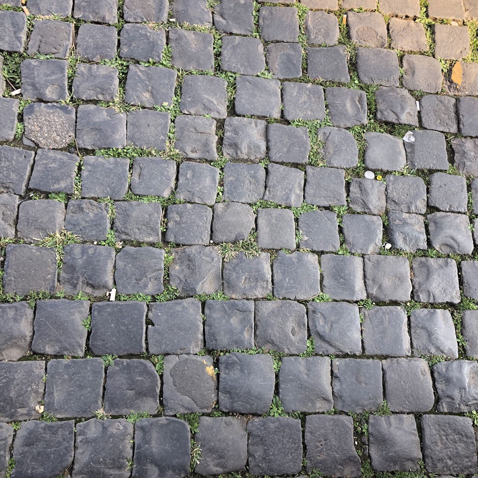 Apple iPhone 8 + iPhone 8 back camera 3.99mm f/1.8 sample photo. Cobblestone, footpath, texture photography
