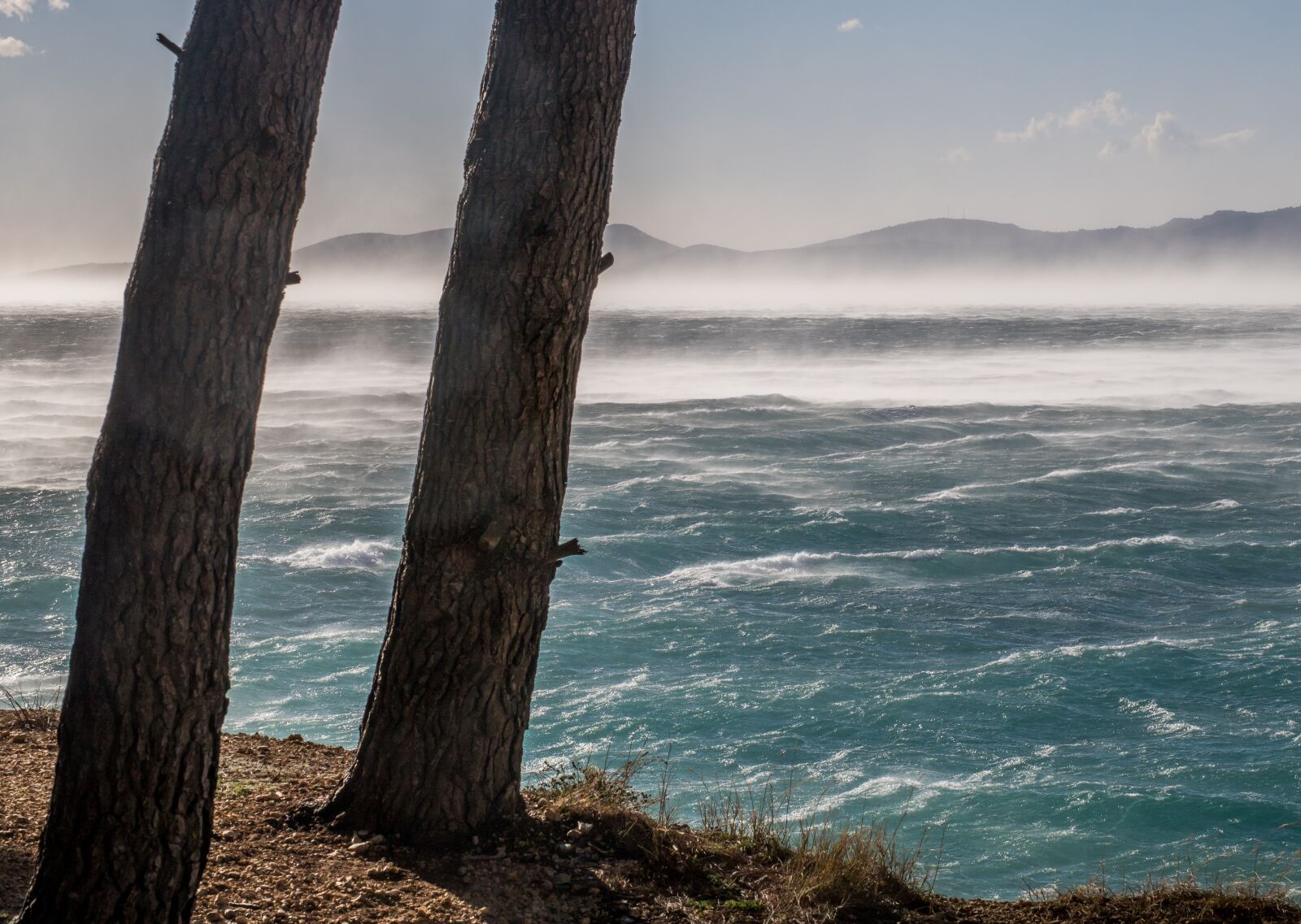 Canon EOS 750D (EOS Rebel T6i / EOS Kiss X8i) sample photo. Wind, windy, sea photography