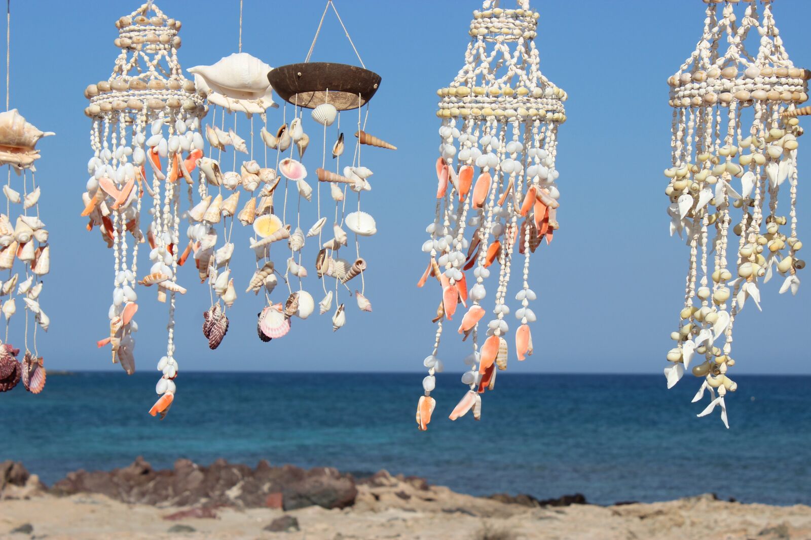 Canon EOS 600D (Rebel EOS T3i / EOS Kiss X5) sample photo. Shell, sea, blue photography