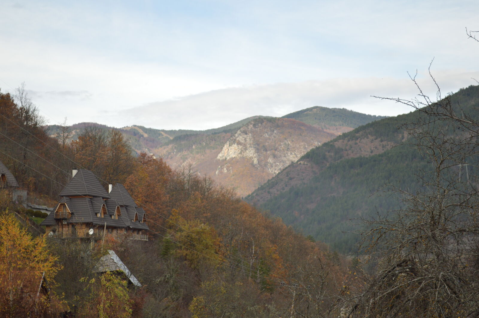 Nikon D3200 sample photo