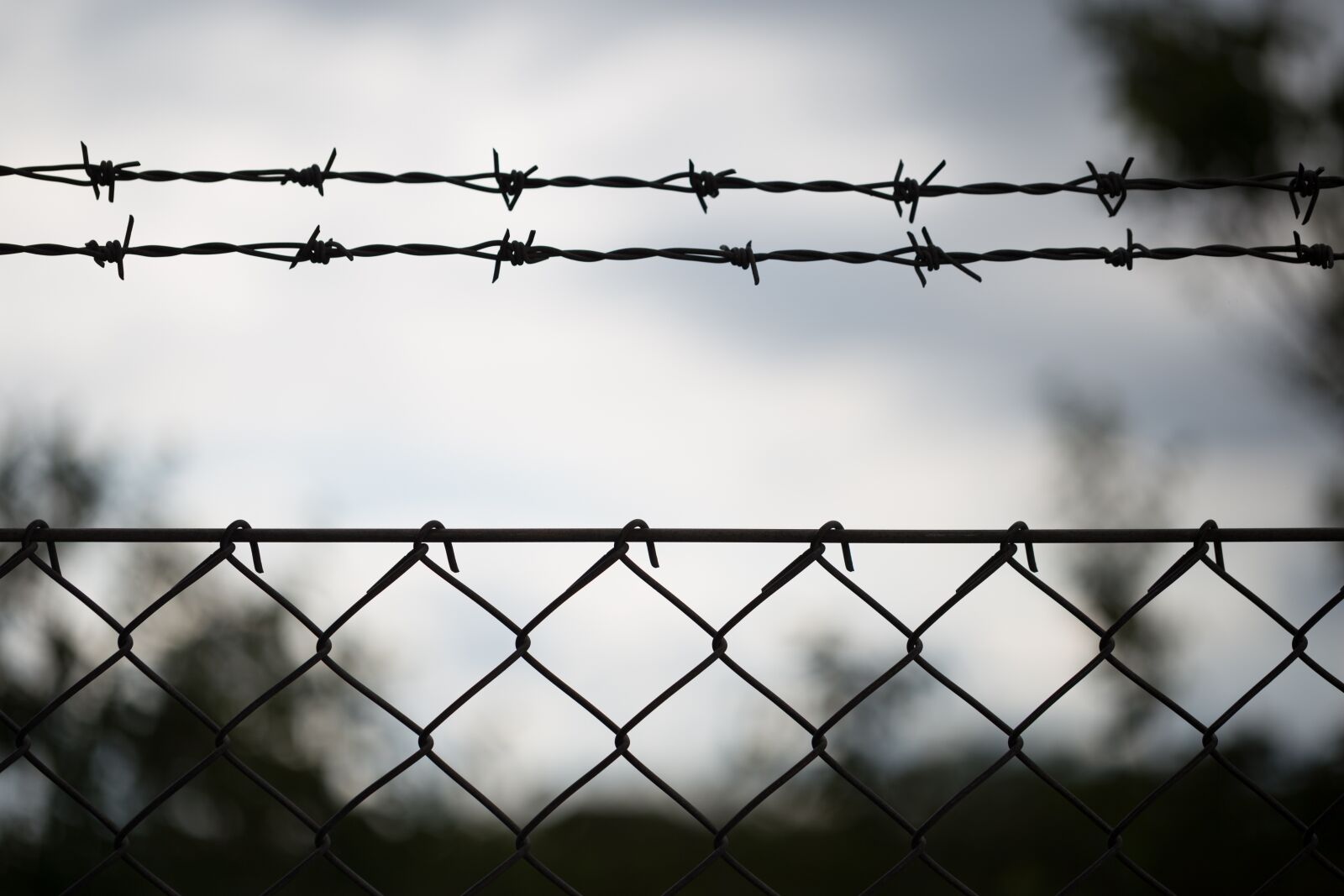 Canon EF 100mm F2.8L Macro IS USM sample photo. Barbwire, protected, no entry photography
