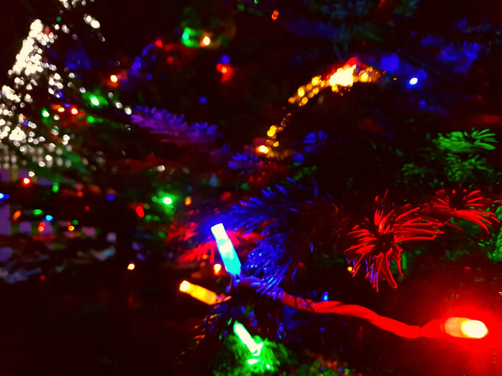 Samsung Galaxy S7 sample photo. Bright, colours, christmas, christmas photography