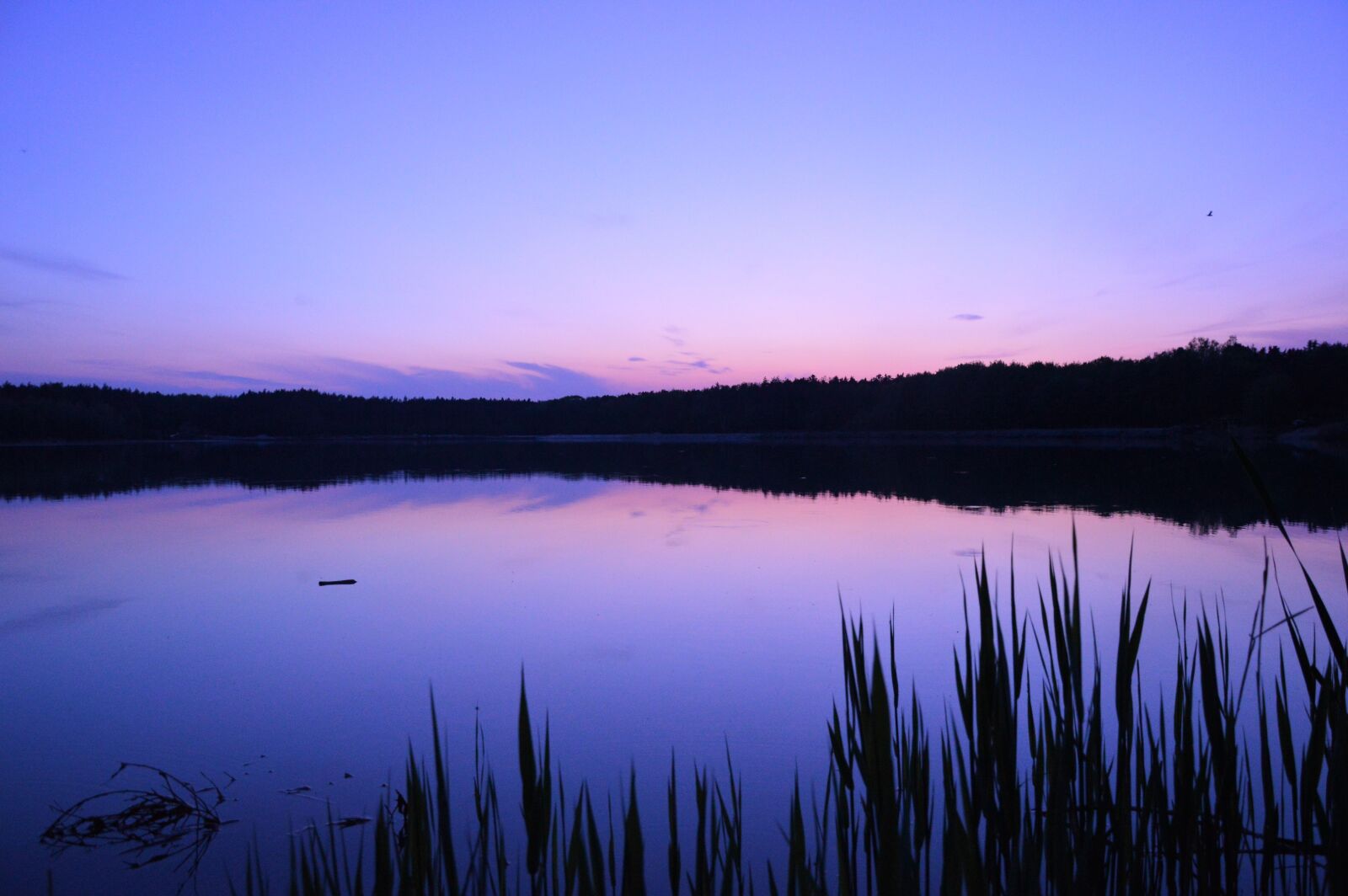 Nikon D3200 sample photo. Lake, west, sun photography