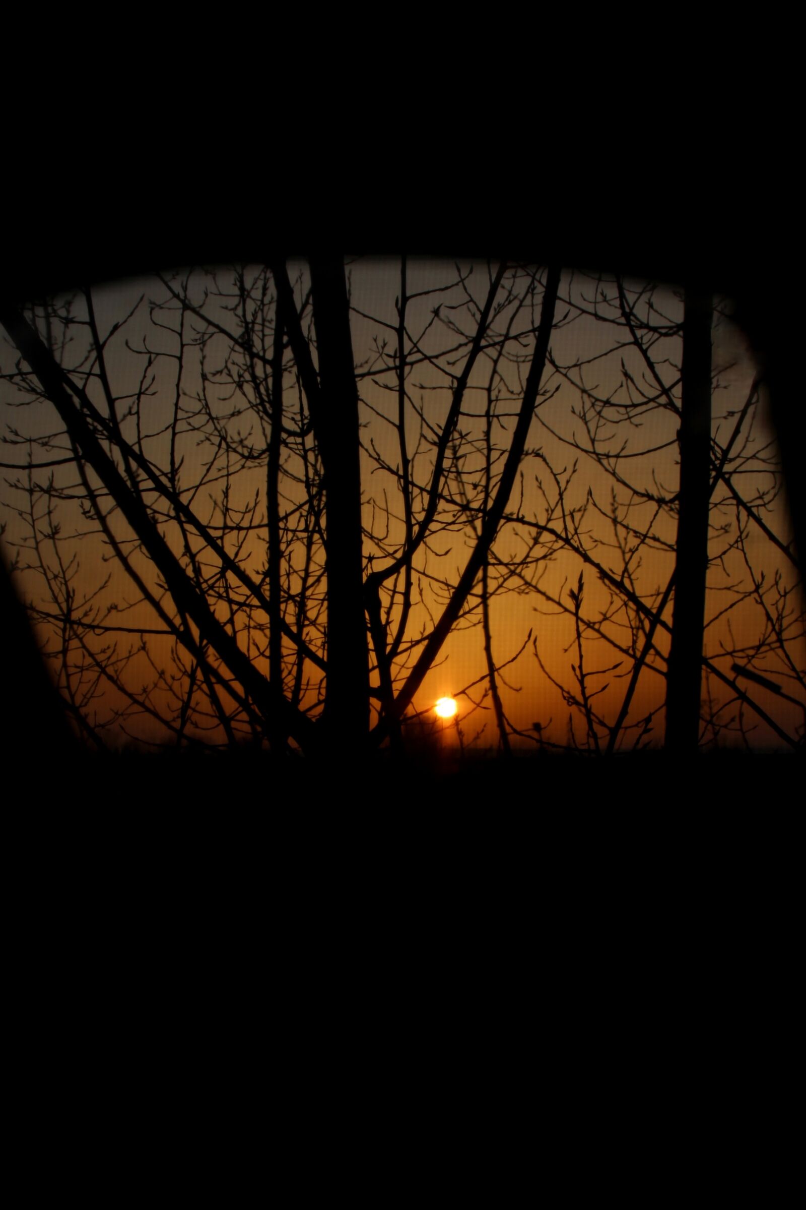 Canon EOS 700D (EOS Rebel T5i / EOS Kiss X7i) sample photo. Sunset, dark, shadow photography