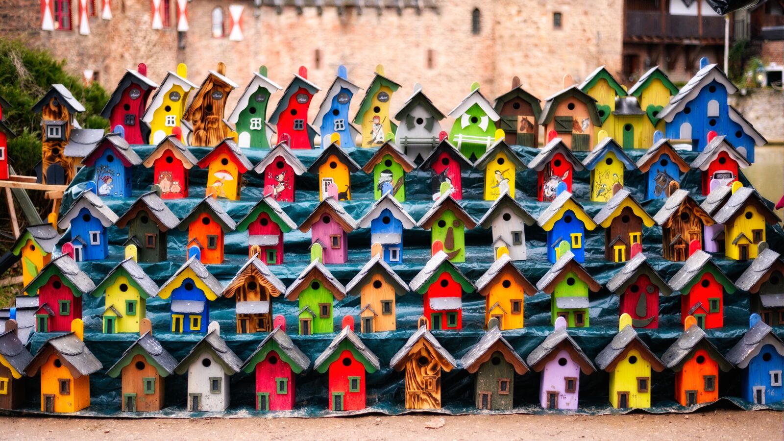 Nikon Z6 sample photo. Aviary, colorful, nesting box photography