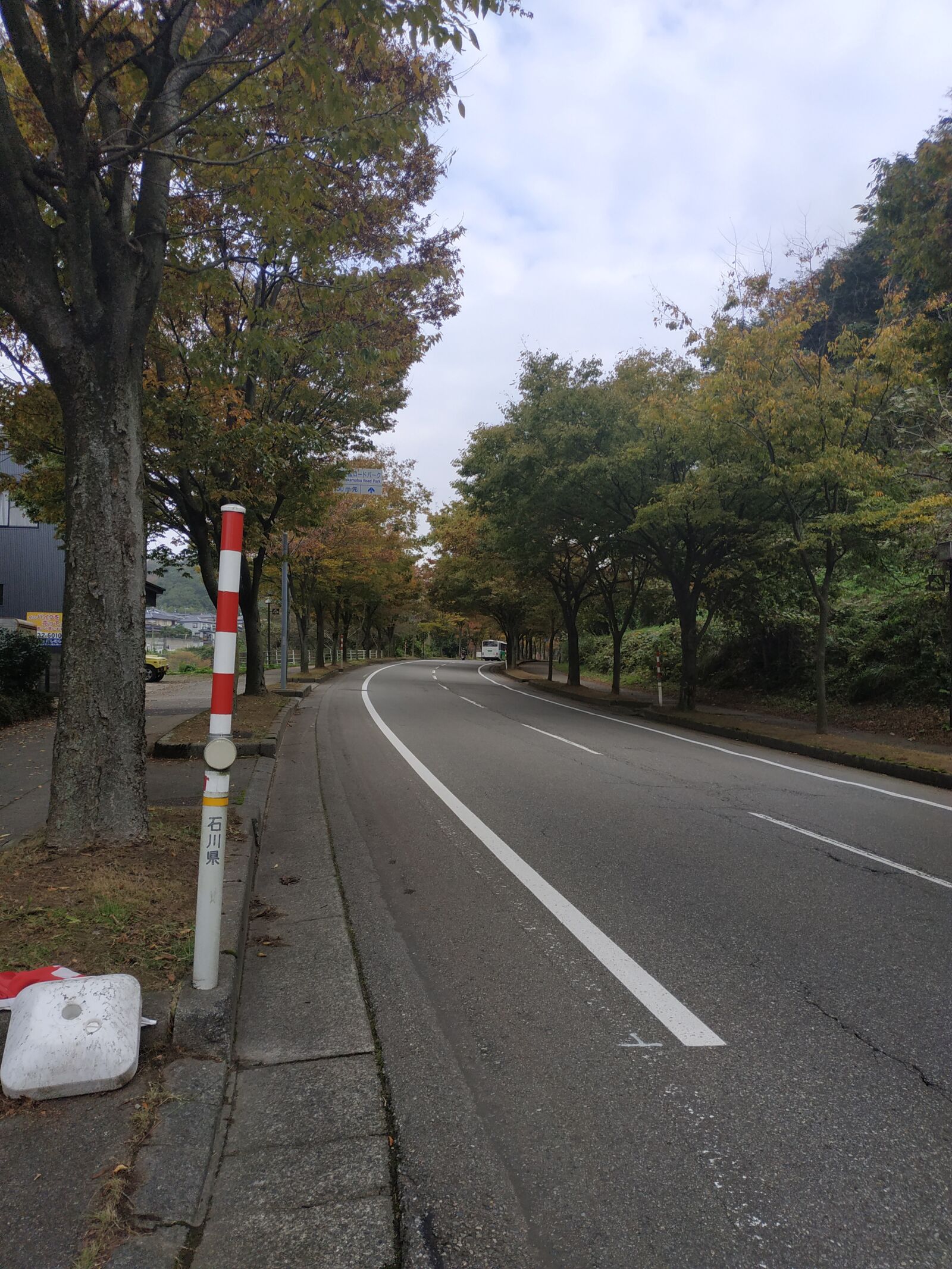 Xiaomi Redmi Note 5 sample photo. Road, kanazawa, tree photography