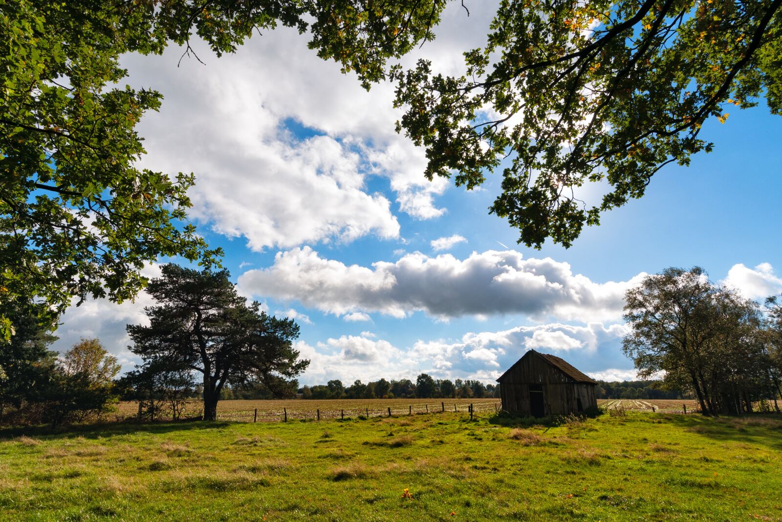 Nikon D90 sample photo. Landscape, north, lower saxony photography