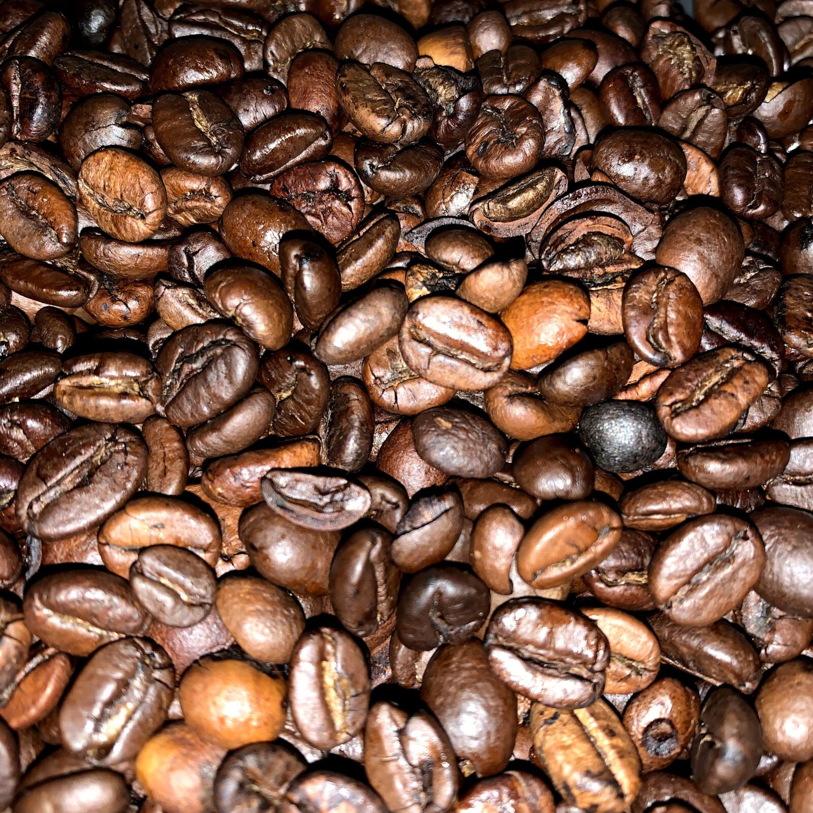 iPhone XR back camera 4.25mm f/1.8 sample photo. Coffee, coffee beans, cafe photography
