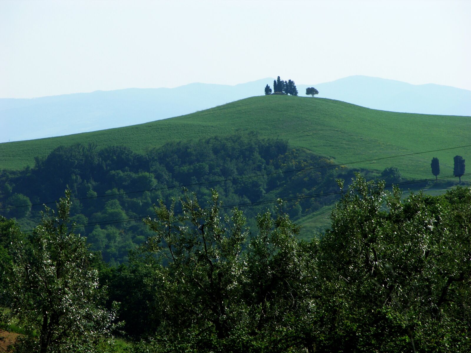 Nikon E8700 sample photo. Toscana, vacations, beautiful photography