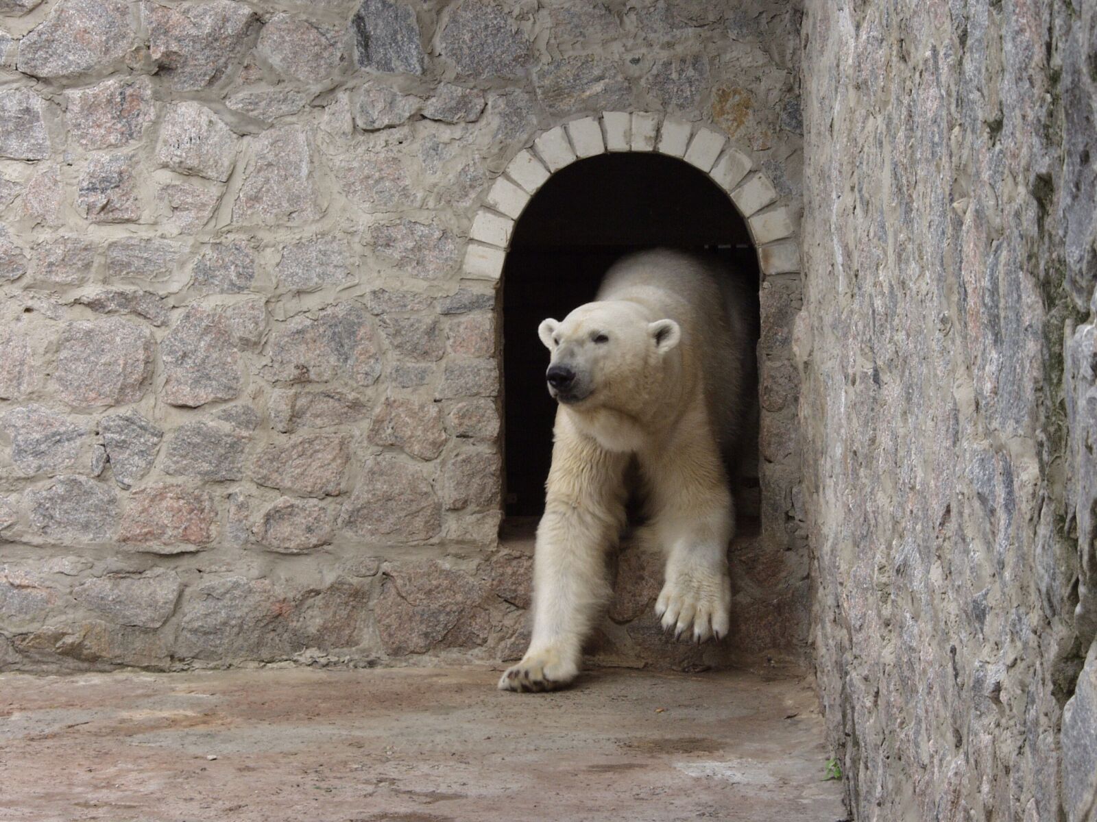 Olympus E-10 sample photo. Zoo, kharkov zoo, kharkov photography