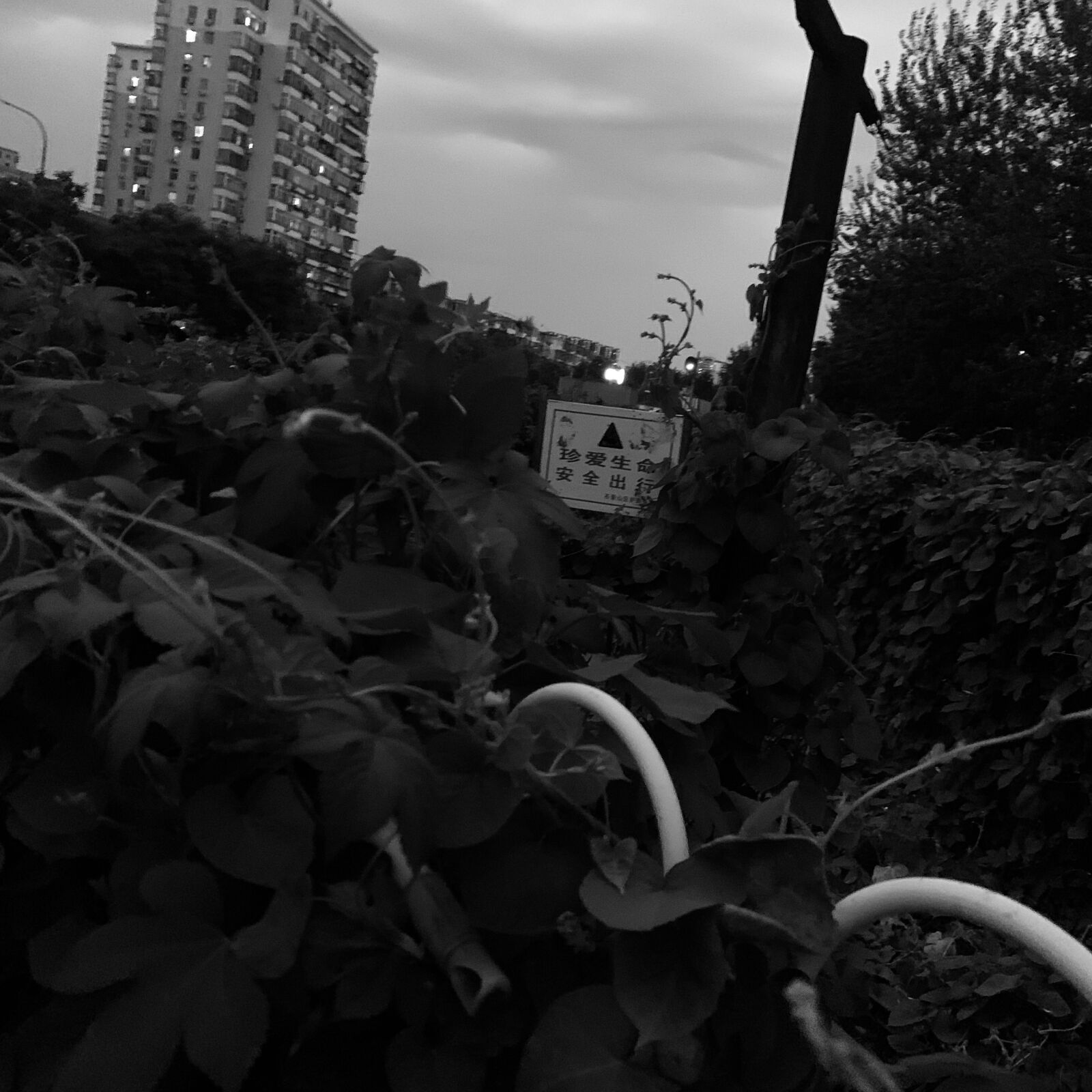 iPhone XS Max back dual camera 4.25mm f/1.8 sample photo. Bicycle, lonely, night photography