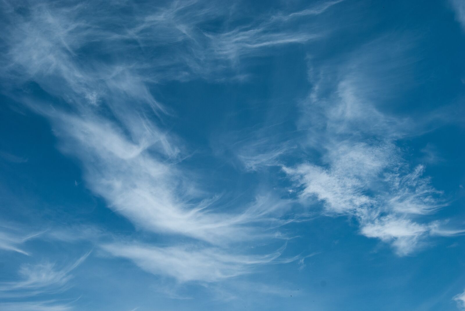 Nikon D60 sample photo. Cloud, sky, blue photography