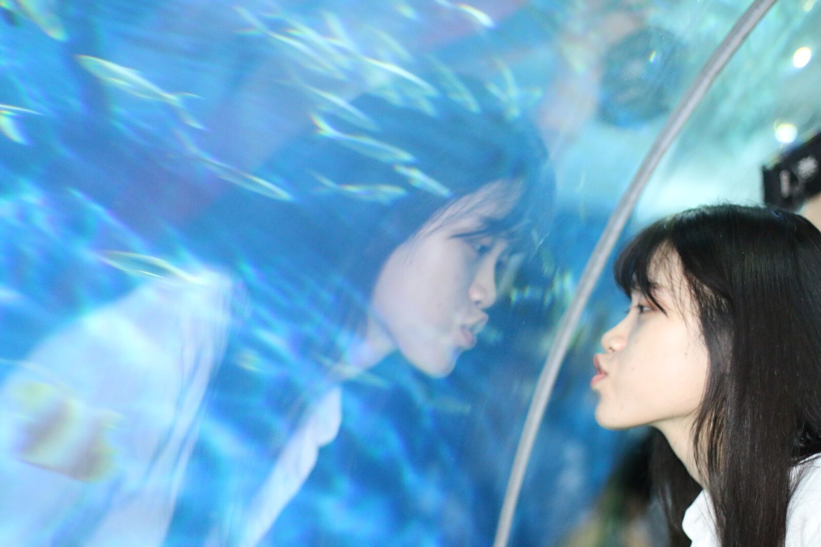 Canon EOS 70D + Canon EF 50mm F1.4 USM sample photo. Portrait, aquarium, girls photography